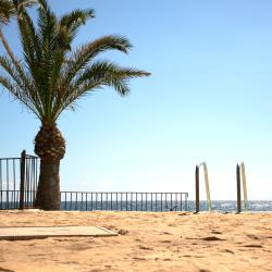 Street_241